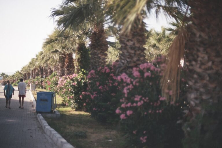 A Guide to Sustainable Travel Practices for Conscious Explorers