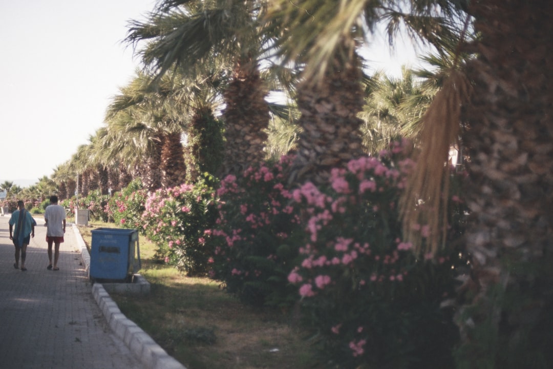 blog_2